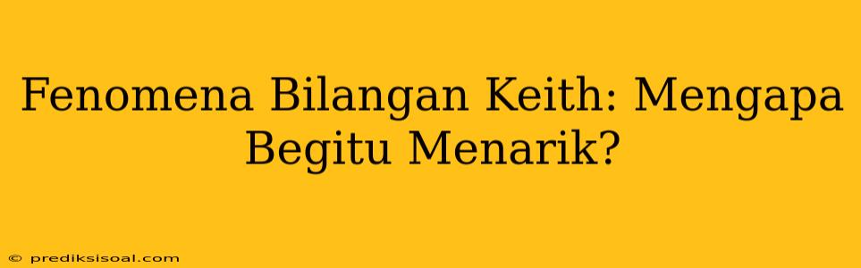 Fenomena Bilangan Keith: Mengapa Begitu Menarik?