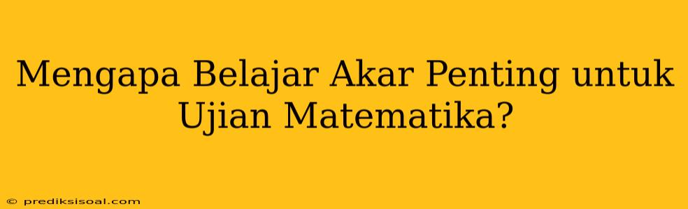 Mengapa Belajar Akar Penting untuk Ujian Matematika?