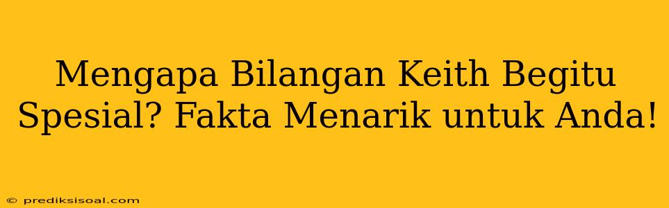 Mengapa Bilangan Keith Begitu Spesial? Fakta Menarik untuk Anda!