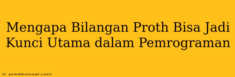 Mengapa Bilangan Proth Bisa Jadi Kunci Utama dalam Pemrograman