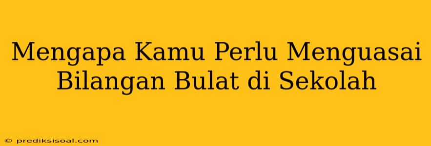 Mengapa Kamu Perlu Menguasai Bilangan Bulat di Sekolah