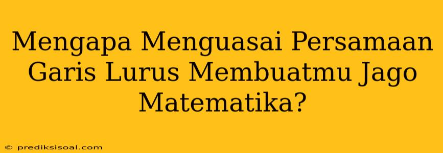 Mengapa Menguasai Persamaan Garis Lurus Membuatmu Jago Matematika?