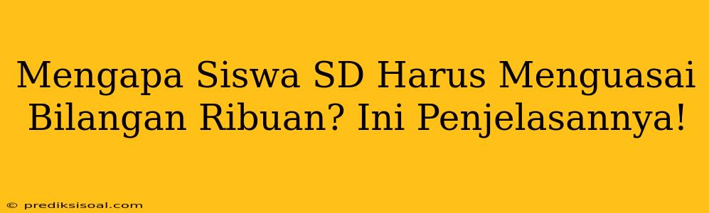 Mengapa Siswa SD Harus Menguasai Bilangan Ribuan? Ini Penjelasannya!