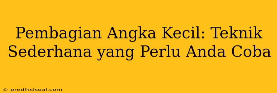 Pembagian Angka Kecil: Teknik Sederhana yang Perlu Anda Coba